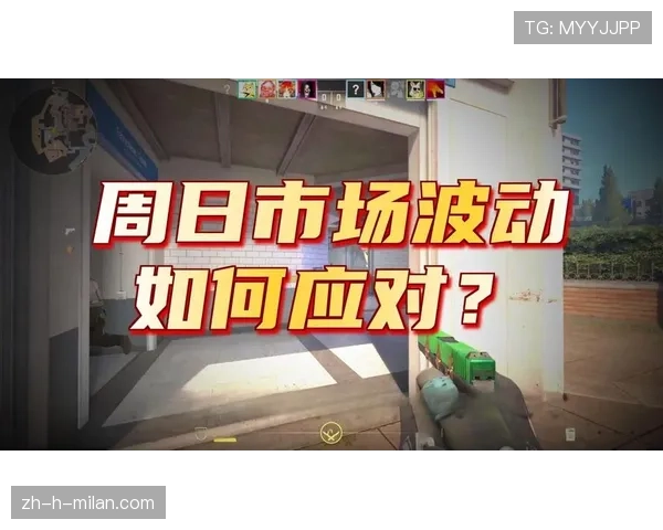 深度：解析CS2对全球青少年身心健康平衡的积极引导作用